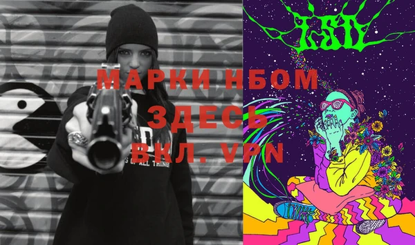 шишки Балахна
