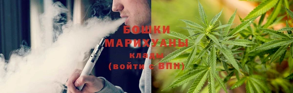 шишки Балахна