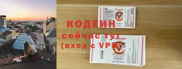 шишки Балахна