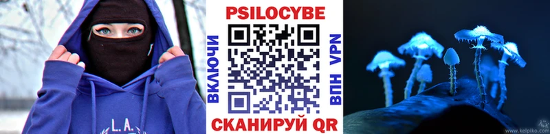 Галлюциногенные грибы Psilocybe  купить наркотик  Семилуки 