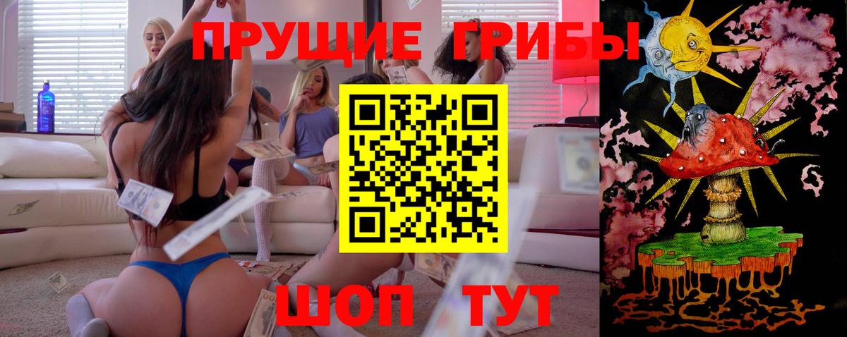 цена наркотик  Вход с VPN  Семилуки  Псилоцибиновые грибы Psilocybine cubensis  Псилоцибиновые грибы Psilocybine cubensis 