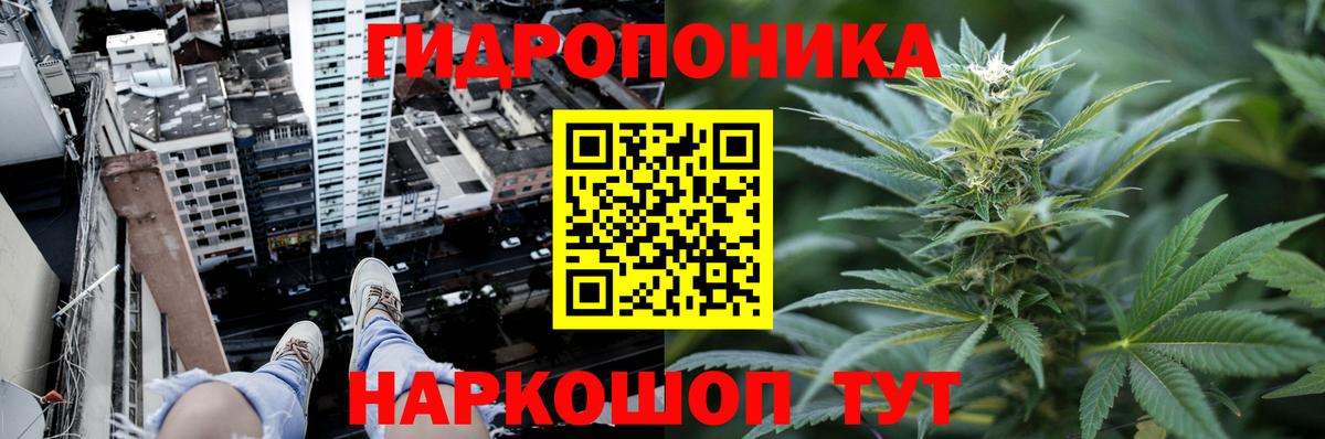 Конопля OG Kush  Вход с VPN  Семилуки  Марихуана ГИДРОПОН 